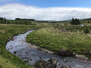 Scenic view of stream amidst field against sky