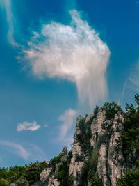 Low angle view of trees on mountain against sky