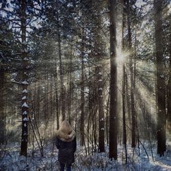 Man amidst trees in forest during winter