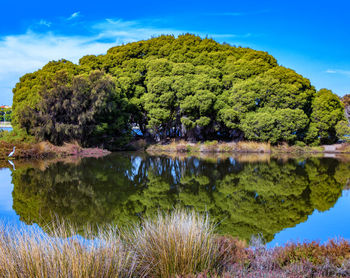 Scenic view of lake by trees against sky