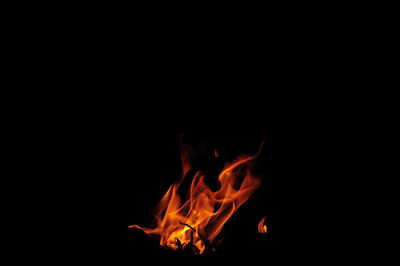 Close-up of bonfire