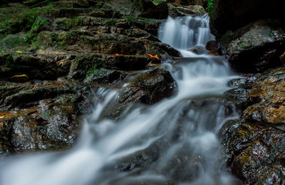 View of waterfall in forest