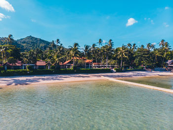 Palm trees at beach against sky