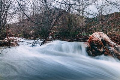 Scenic view of waterfall in forest