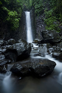 View of waterfall in forest