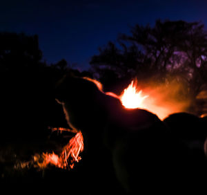 Close-up of bonfire at night