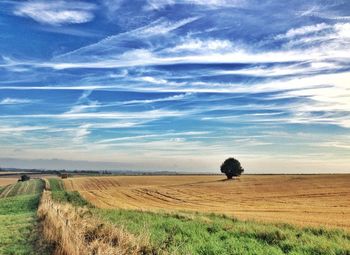 Scenic view of field against clear sky