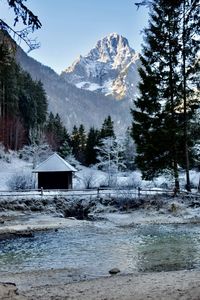 Scenic view of river with snow covered mountains and trees against sky