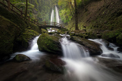 Scenic view of waterfall in forest