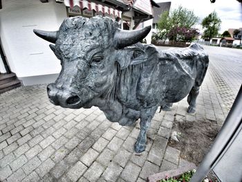 View of horse statue on footpath