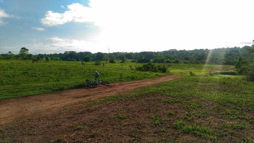 Dirt road passing through grassy field