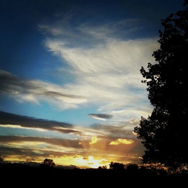 silhouette, sunset, tree, sky, tranquil scene, tranquility, scenics, beauty in nature, nature, cloud - sky, idyllic, landscape, cloud, sunlight, orange color, outdoors, no people, growth, low angle view, non-urban scene