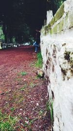 Young woman standing by tree in water