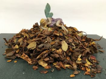 Close-up of dried leaves on table