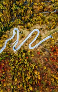 High angle view of arrow symbol in forest