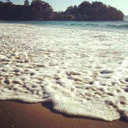 Scenic view of beach