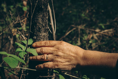 Midsection of woman  holding plant