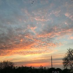 Silhouette trees against dramatic sky during sunset