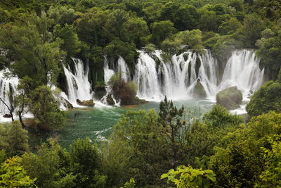 View of waterfall in forest