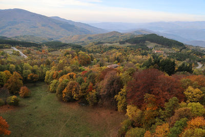 High angle view of trees on landscape against sky