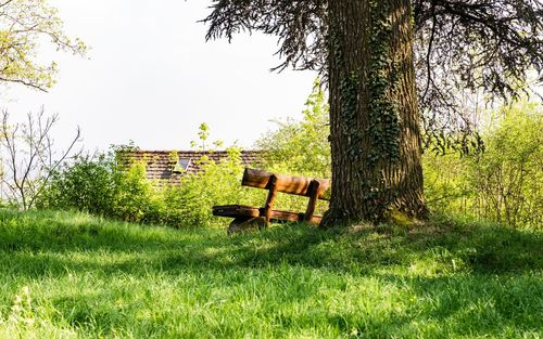 Chair on field against trees