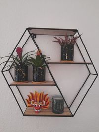 High angle view of potted plant on table at home