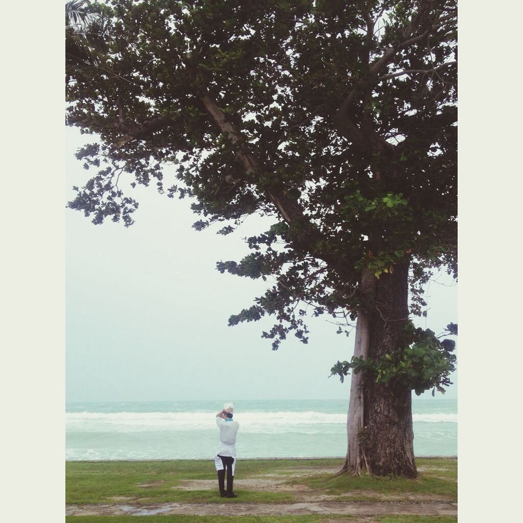 tree, transfer print, lifestyles, leisure activity, rear view, full length, auto post production filter, water, beach, nature, person, sea, horizon over water, standing, tranquility, men, clear sky, beauty in nature