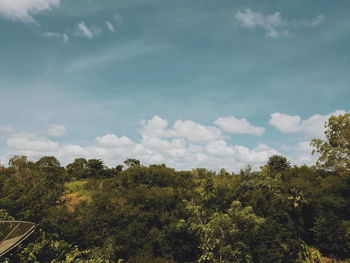 Low angle view of trees against sky