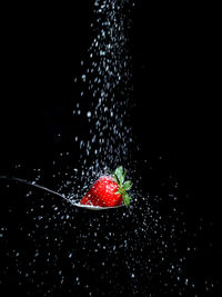 Close-up of berries on water against black background