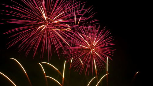 Low angle view of firework display at night