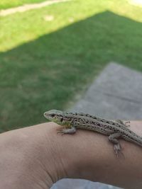 Person hand on rock outdoors