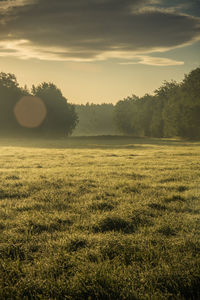 Scenic view of field against sky at sunset