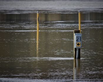 Close-up of wooden post in lake