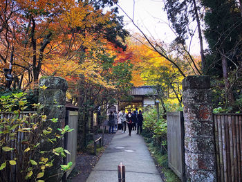 People walking on footpath during autumn