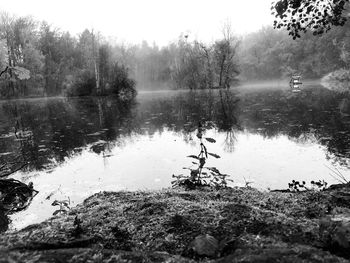 Scenic view of lake by trees against sky