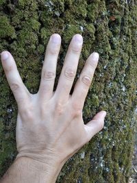 Cropped hand of person touching rock