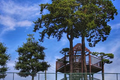 Low angle view of tree in park against sky