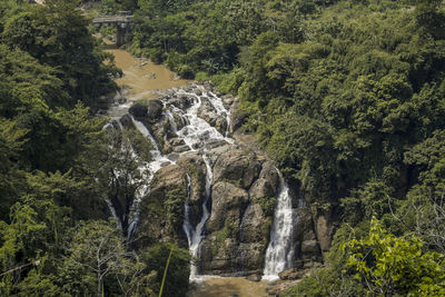 Scenic view of waterfall in forest