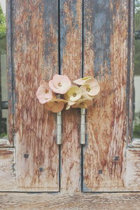 Close-up of flowers on tree trunk