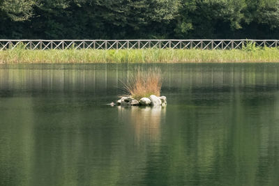 Scenic view of lake