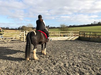 Rear view of horse standing on field