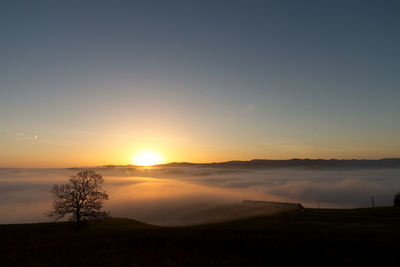 Scenic view of sea of clouds with lonely tree against sky during sunrise