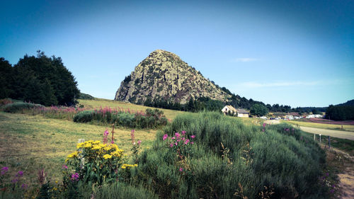 Scenic view of landscape against clear blue sky