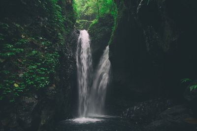 Scenic view of waterfall in forest