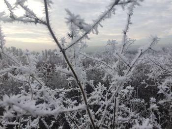 Scenic view of snow covered field against sky