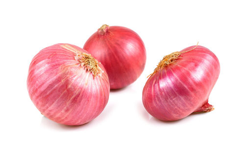 Close-up of tomatoes against white background