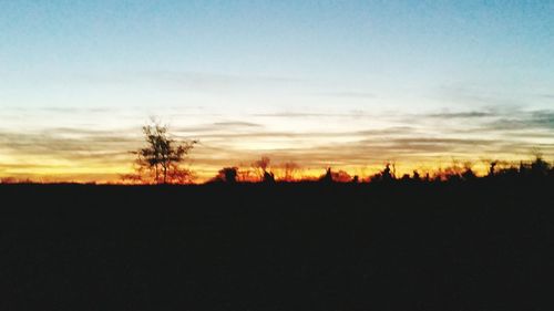 Silhouette trees on field against sky at sunset