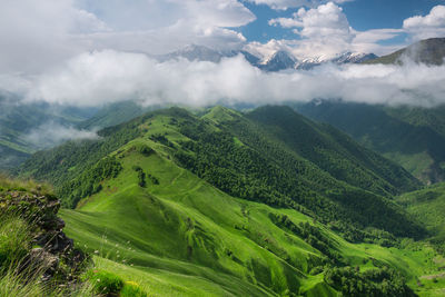 Scenic view of landscape against sky