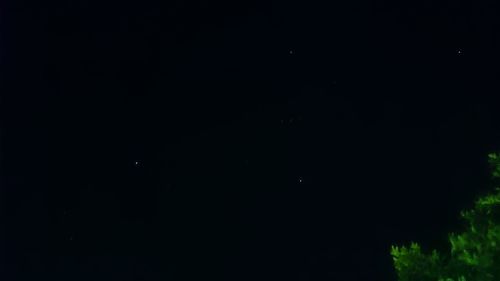 Close-up of tree against sky at night