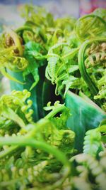 Close-up of green vegetables for sale in market